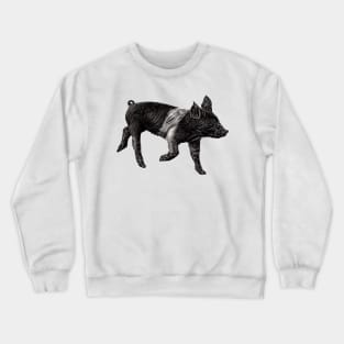 Hampshire pig piglet Crewneck Sweatshirt